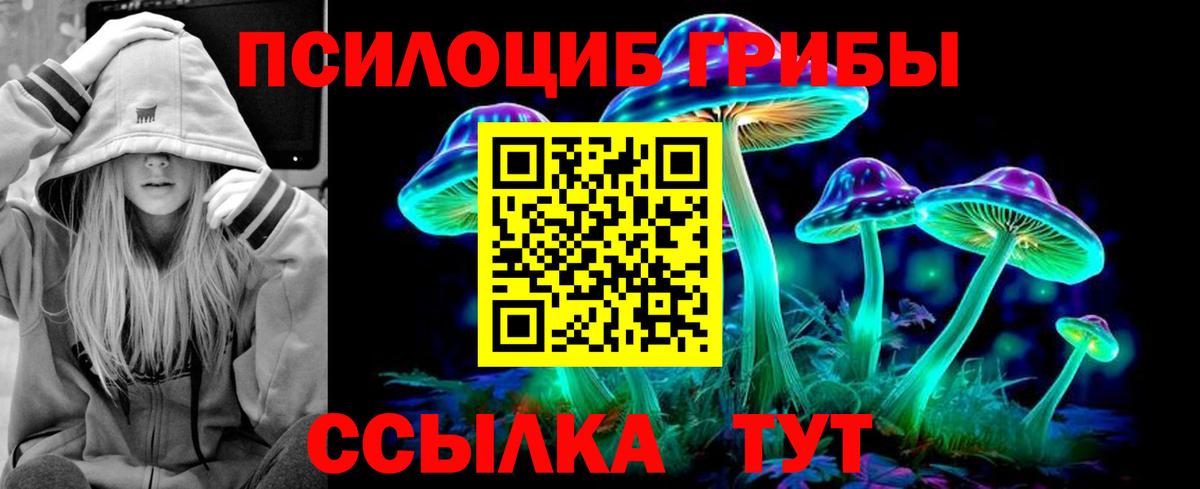 Нарткала  Псилоцибиновые грибы мухоморы  Вход с VPN 
