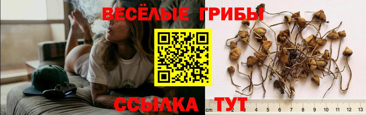 Псилоцибиновые грибы мухоморы Нарткала